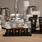 Baltini Premium Polanki Park Daire *