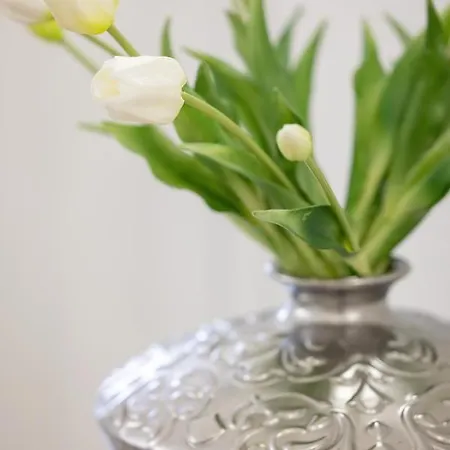 Baltini Premium Polanki Park Apartamento *