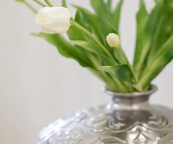 Baltini Premium Polanki Park Lägenhet *