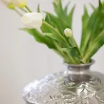 Baltini Premium Polanki Park 아파트 *