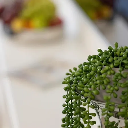 Baltini Premium Polanki Park 코워브제크