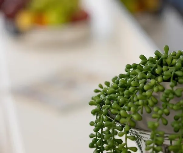 Baltini Premium Polanki Park 科沃布热格